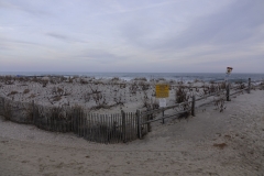 DSC0018