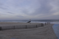 DSC0020