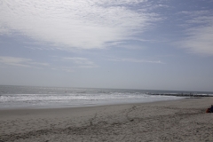 DSC0058